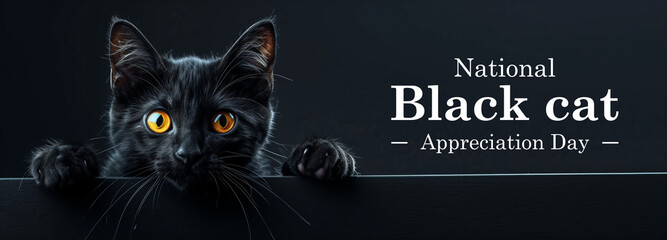 A cute black cat with two paws on dark background, National Black Cat Appreciation Day