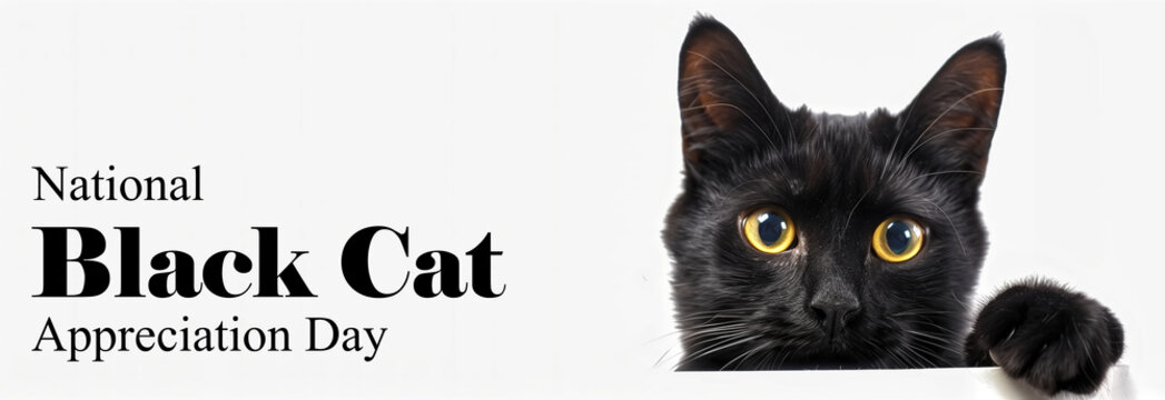 A cute black cat with one paw on white background, National Black Cat Appreciation Day