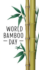 Bamboo Day, Towering Bamboo Trees for World Bamboo Day, Lush bamboo forest with text, World Bamboo Day Story, Post, Poster, and illustration. Bamboo Day Poster, Design.