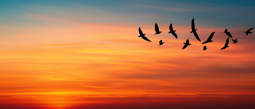 A flock of birds flying in the sky over a beautiful sunset