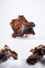 Close up of wild dried black fungus on white background