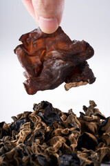 Close up of wild dried black fungus on white background