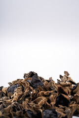 Close up of wild dried black fungus on white background