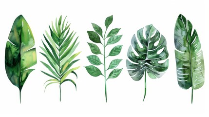 Modern green tropical leaves, clipart Botanical Illustration, green tropical leaves isolated transparent background, PNG-set.