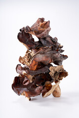 Close up of wild dried black fungus on white background