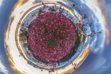 a variety of landscapes with a 360-degree panoramic filter