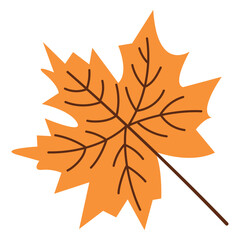 Maple leaf in a flat style is a symbol of the forest and tree species on a transparent background