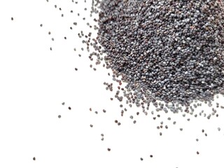 Raw pile of poppy seeds on a bright background.