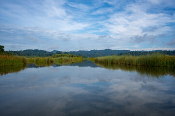 Tasik Chini is the second largest fresh water lake in Peninsular Malaysia and is made up of a series of 12 lakes.