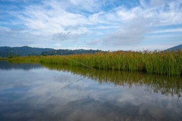 Tasik Chini is the second largest fresh water lake in Peninsular Malaysia and is made up of a series of 12 lakes.