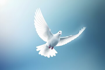 Obraz premium white dove flying made by journey