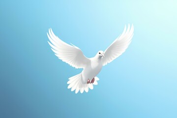 Fototapeta premium white dove in flight made by journey