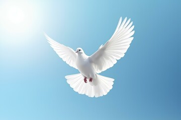 Fototapeta premium dove of peace made by journey
