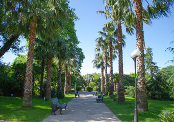 Obraz premium Southern Cultures Park in Adler (Sochi)