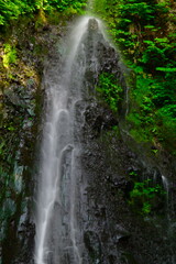 善根不動滝（新潟県）