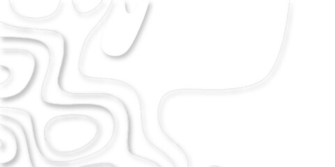 Topographic map of geology and contour map geometric lines, Modern white carve wave line abstract luxury 3d papercut background, Topographic canyon geometric map relief texture with curved layers.