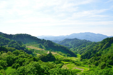 Obraz premium 清水の棚田（新潟県）