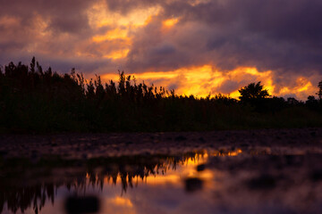 A beautiful sunrise reflection in the water puddle. A natural summer morning scenery of rural Latvia, Northern Europe.