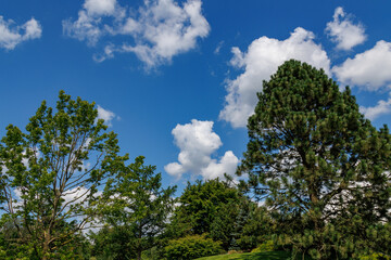 Sommerzeit im Park