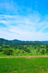 Obraz premium 星峠の棚田（新潟県）