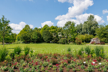 Sommer im Park