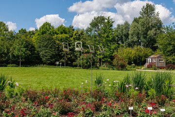 Obraz premium Sommer im Park