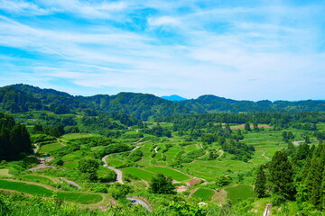 星峠の棚田（新潟県）