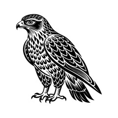 Obraz premium A Hawk Bird Silhouette