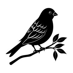 Obraz premium A Highly Detailed Society Finch Silhouette