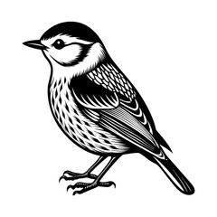 Obraz premium A Nuthatch Bird Silhouette