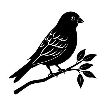 recommend clip art: A Highly Detailed Society Finch Silhouette