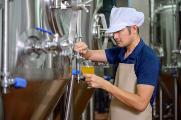 A young male brewer presses beer from a brewing keg into a glass. To determine the quality of beer and the taste and color of beer in the brewery industry.