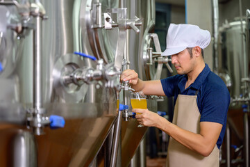 A young male brewer holds a beer glass in his hand to check the flavor and color of beer in craft beer in the brewery industry.