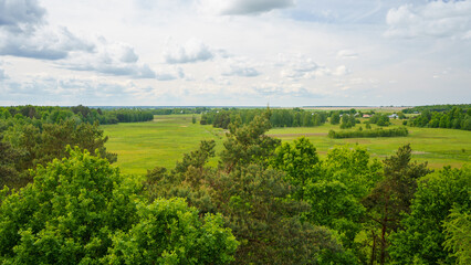 Fototapeta premium spring landscape of the Southern Roztocze from the tower in Tymce, pine and oak trees in the foreground