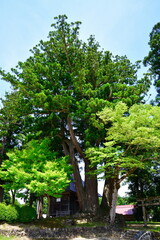 高柳荻ノ島松尾神社（新潟県）