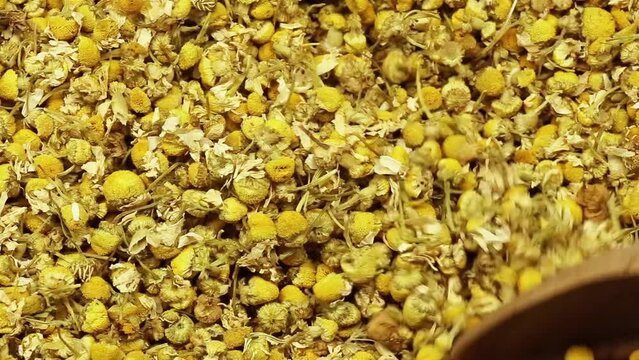chamomile tea plant and wooden spoon, video