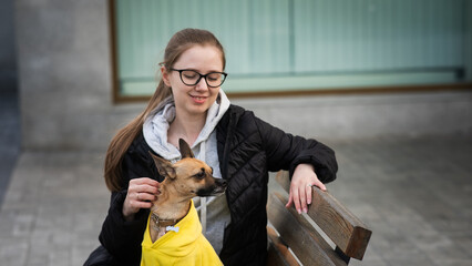 A young Caucasian woman is walking with a Russian toy terrier. The owner with a dog in a jacket...