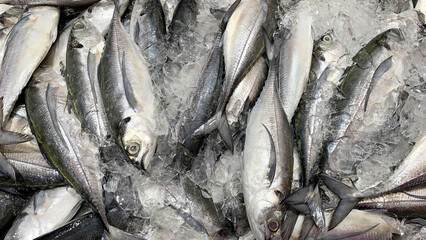 Top view of fresh fish covered with ice display in wet market . Asian food concept.
