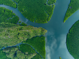 View from above, aerial shot, stunning view of Ao Phang Nga (Phang Nga Bay) National Park with a river flowing through a mangrove forest Thailand.