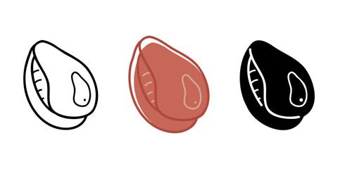 Doodle set with one seashell in different colors. Clip art for your projects.