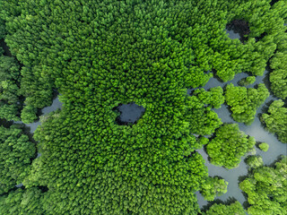 View from above, aerial shot, stunning view of Ao Phang Nga (Phang Nga Bay) National Park with a river flowing through a mangrove forest Thailand.