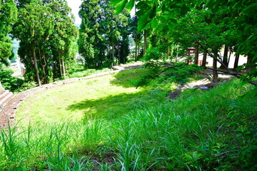 虫亀闘牛場（新潟県）