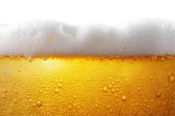 beer isolated on white background
