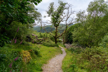 Obraz premium walking the Aberglaslyn Pass in North Wales