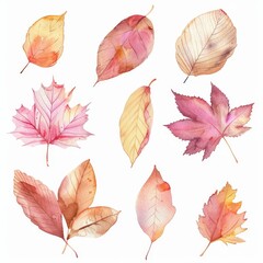 White background with watercolor autumn leaves.