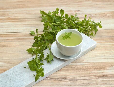 A cup of fresh tea from Chickweed, lat. Stellaria media on white marble. Traditional herb tea rich in minerals is used for detoxificatin, tasty in salads.