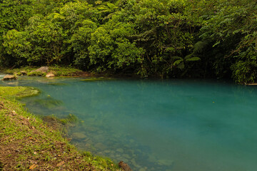 blue Lagoon of the Rio Celeste river in the Tenorio National Park in Costa Rica