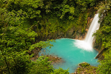 Naklejka premium blue Rio Celeste waterfall in the Tenorio National Park in Costa Rica