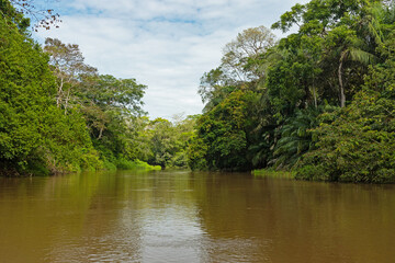 Rio Frio river in the Cano Negro nature reserve in Costa Rica