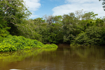 Rio Frio river in the Cano Negro nature reserve in Costa Rica